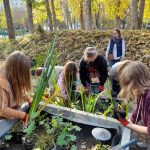 Grupa uczniów zakłada skrzyniowy ogród deszczowy: wsypują ziemię i sadzą rośliny