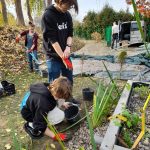 Dwóch uczniów zakłada skrzyniowy ogród deszczowy: wsypują ziemię i sadzą rośliny