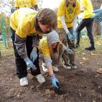 1. Pięcioro dzieci w żółtych koszulkach sadzi cebulki żonkili. Na pierwszym planie po lewej stronie dziewczynka kuca trzymając w ręce cebulkę żonkila, po prawej stronie chłopiec pochylony do przodu trzyma sadzarkę do cebulek. W tle pozostałe dzieci, budynek szkoły i drzewo.