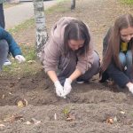 Pod budynkiem hospicjum grupa uczniów kuca i sadzi cebulki żonkili. Uczniowie są w żółtych koszulkach „Pola Nadziei”.