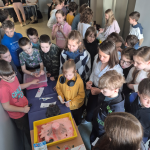 Uczniowie biorą udział w eksperymentach szkolnych